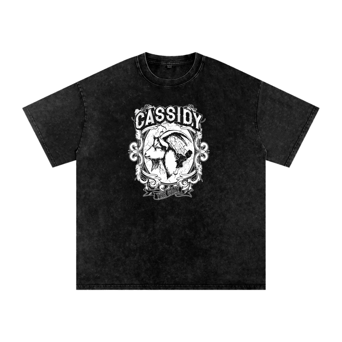 Cassidy Top Goat Snow Washed Oversized Cotton Tee