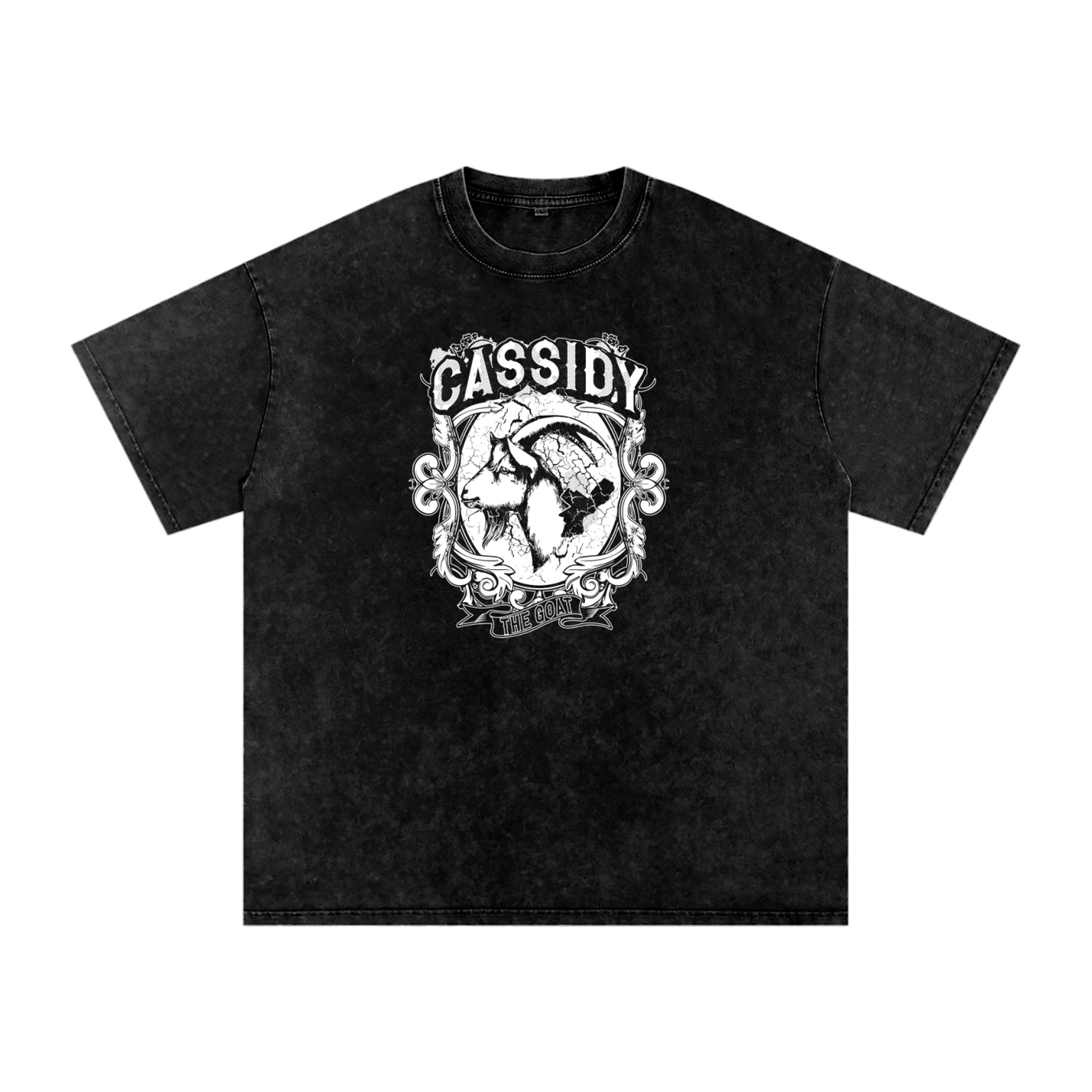 Cassidy Top Goat Snow Washed Oversized Cotton Tee